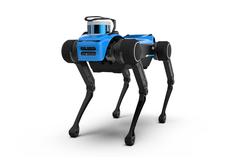 DEEP Robotics quadruped robot dog