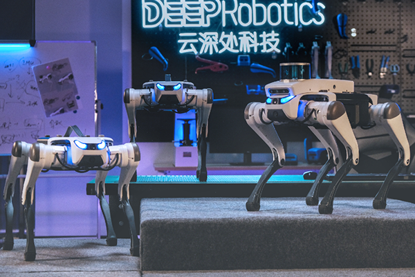 X20 quadruped robot dog