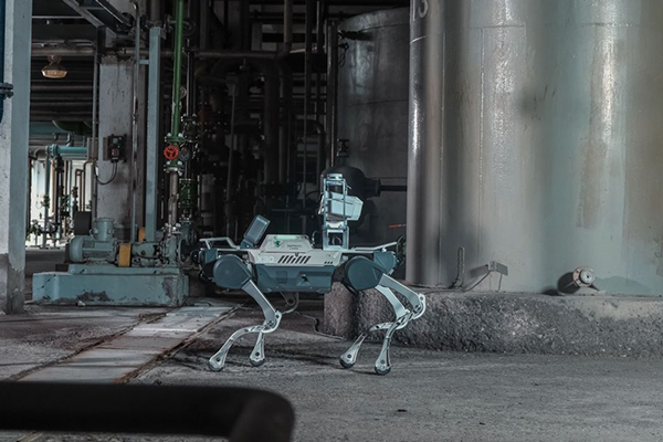 X20 quadruped robot dog