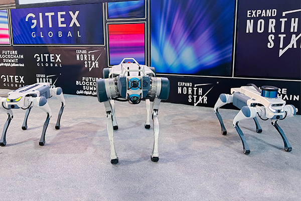 X20 quadruped robot dog
